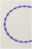 コグ3D 4Dの改装の鈍い針のpolydioxanoneのhilosのpdoの糸の上昇韓国